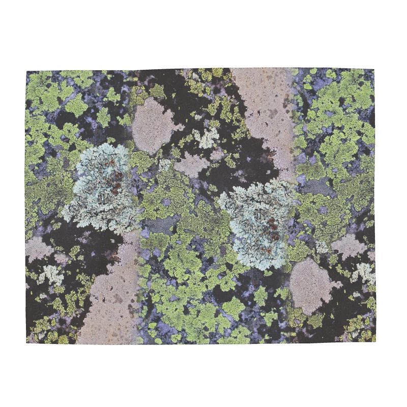 Tres Piedras Lichen Silk Scarf