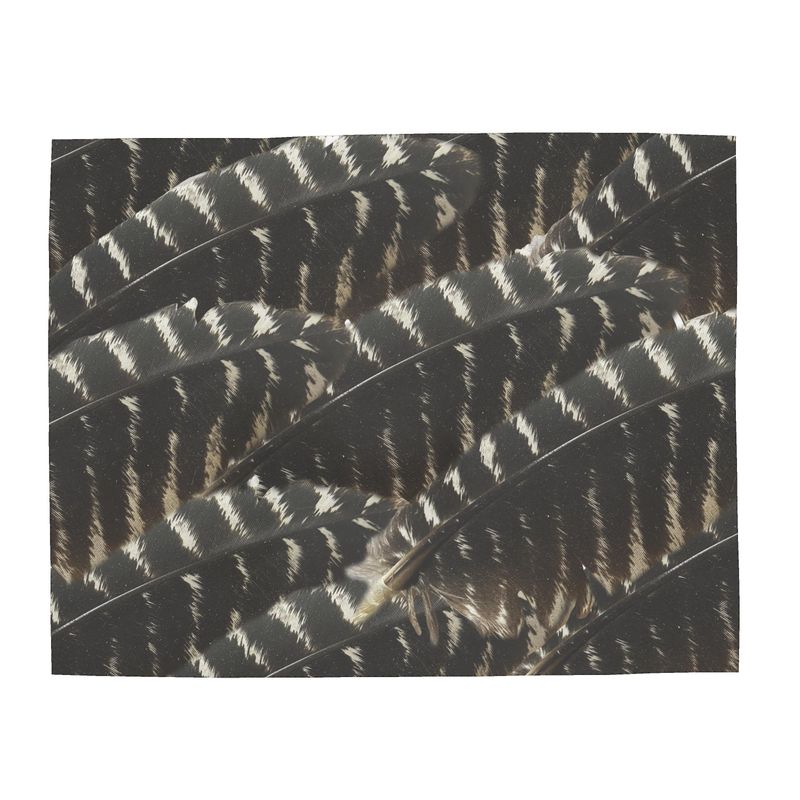 Wild Turkey Feather Silk Scarf