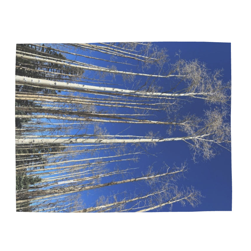 Winter Aspens Silk Scarf